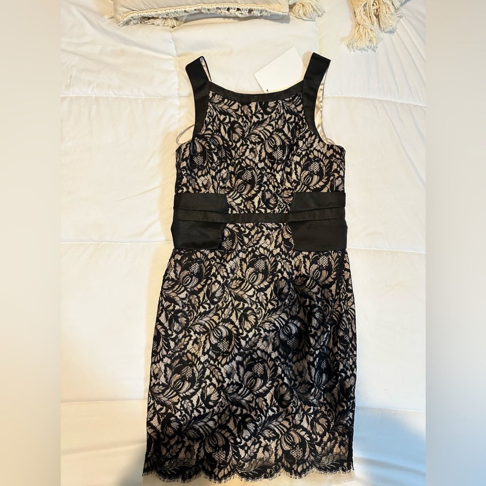 Lace cocktail dress
